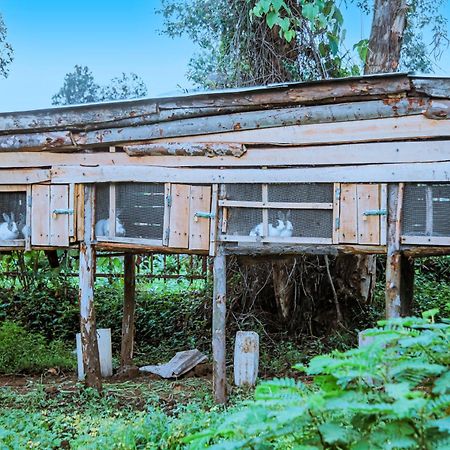 Karisimbi Cave Resort Ruhengeri ภายนอก รูปภาพ