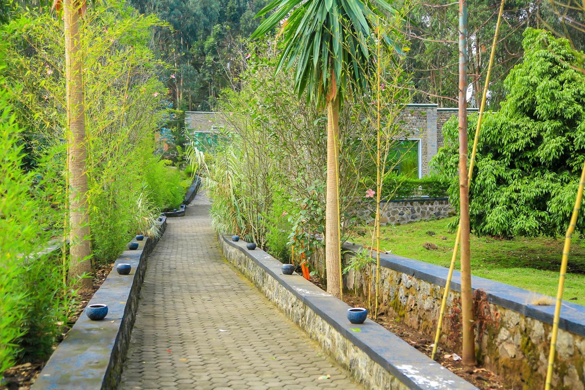 Karisimbi Cave Resort Ruhengeri ภายนอก รูปภาพ
